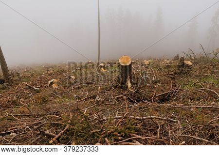 Mysterious Path Across The Hinterland On The Hochlantsch Mountain In The Fischbach Alps, Austria. De