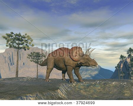 Triceratopo