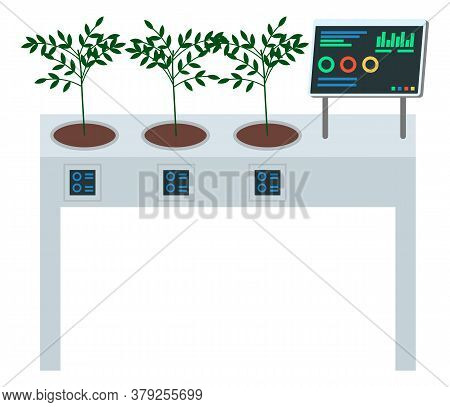 Concept Of Digital Table For Growing Plants. Growbox Control With Computer, Show Statust Of Soil Moi