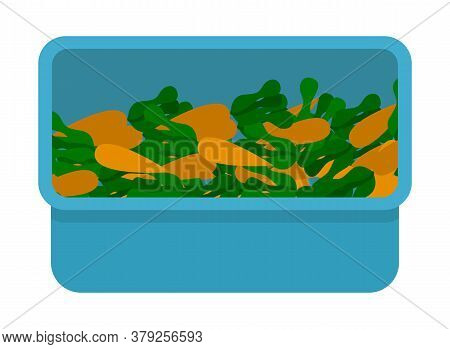 Container With Ripe Fresh Carrots, Blue Box With Vegetables, Agriculture, Crop, Fresh Organical Food