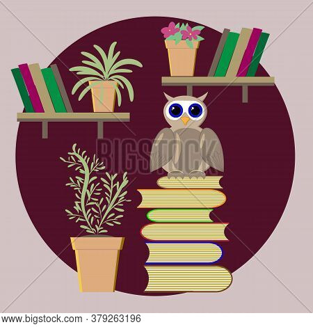 Illustration Of An Owl Sitting On A Stack Of Books Against The Background Of A Wall With Bookshelves