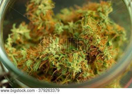Marijuana Buds Macro Photo. Cannabis Is Psychoactive Drug Used For Medical Or Recreational Purpose. 