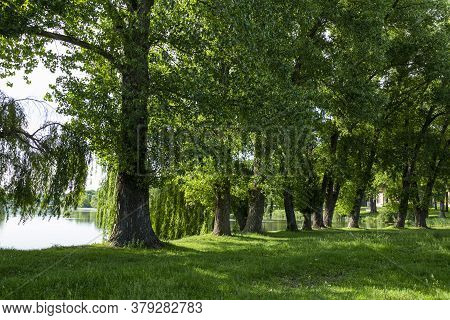 Old Landscape Park In The Palace And Park Ensemble In Village Samchyky. Ukraine. Tourist Landmark