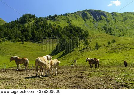 Mountain Landscape Along The Road To Crocedomini Pass, In The Brescia Province, Lombardy, Italy, At 