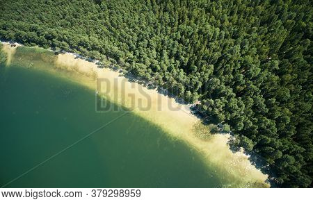 White Sand Beach On Forest Shore
