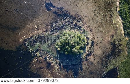 Small Island On Swamp