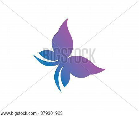 Butterfly Logo Vector Template Design