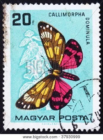 우표 헝가리 1966 Callimorpha Dominula, 나비