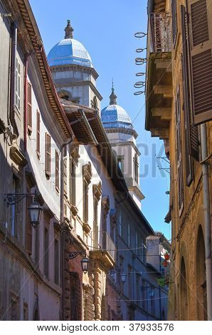 Gyde. Montefiascone. Lazio. Italien.