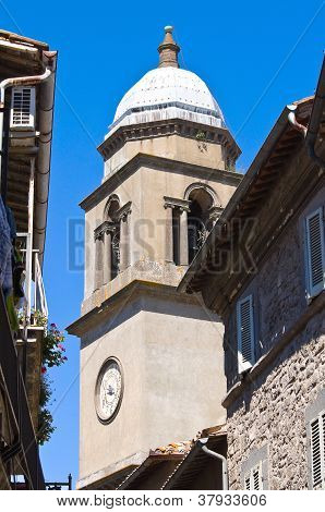 Gyde. Montefiascone. Lazio. Italien.
