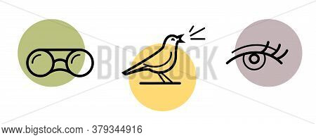 Bird Watching Or Eco Tourism Icon. Vector Illustration