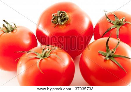 Virkelige tomater lukke