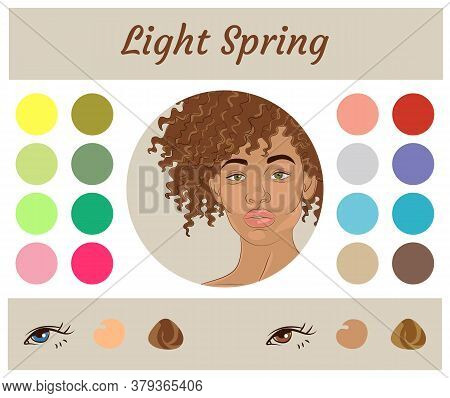 Stock Vector Seasonal Color Analysis Palette For Light Spring. Best Colors For Light Spring Type Of 