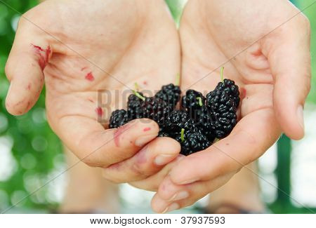 BlackBerry a kezében