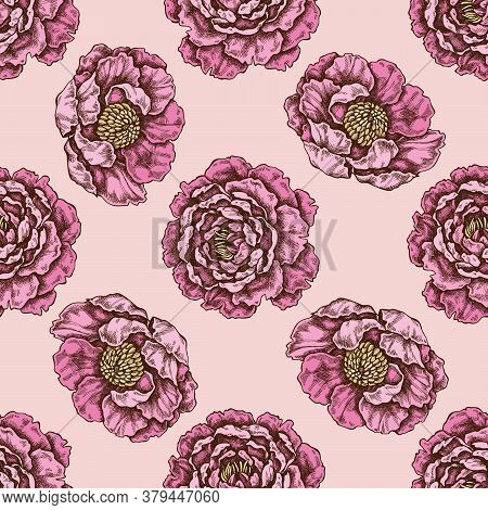 Seamless Pattern With Hand Drawn Colored Peony Stock Illustration