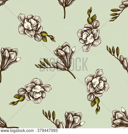Seamless Pattern With Hand Drawn Colored Freesia Stock Illustration