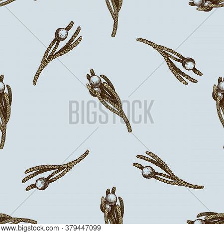 Seamless Pattern With Hand Drawn Colored Brunia Stock Illustration