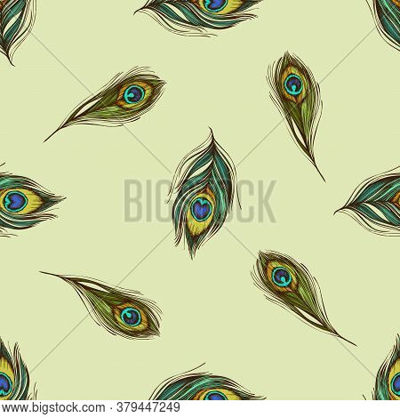Seamless Pattern With Hand Drawn Colored Peacock Feathers Stock Illustration