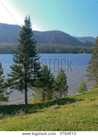 Laketree Filteredres
