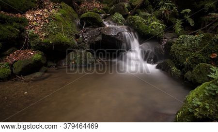 Autumn Still Life With A Stream Of Water And Rapids