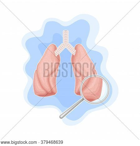 Lungs And Magnifying Glass Examining It Vector Composition