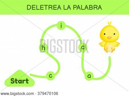 Deletrea La Palabra - Spell The Word. Maze For Kids. Spelling Word Game Template. Learn To Read Word