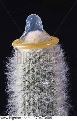 World Sexual Helth Day. Condom Is Dressed On A Hairy Cactus. Dark Background. Vertical