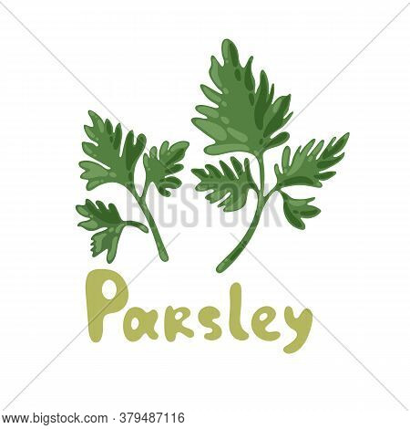 Parsley Icon On White Background. Sprig Of Parsley With Bright Green Aromatic Leaves. Natural Ingred