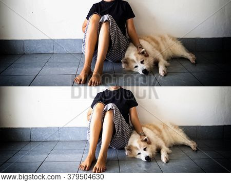 The Absract Artdesign Background Of Woman Boy Sitting Beside Her Dog On Ground Floor.