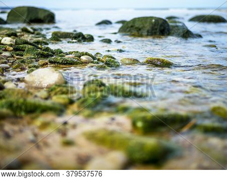 Baltic Coastline Under A Partly Cloudy Sky, Beautiful. Baltic Sea, Rocks, Landscape. Close Up. Green