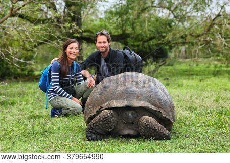 Galapagos Giant Tortoise and tourist couple posing for photo on Santa Cruz Island in Galapagos Islands. Animals, nature and wildlife tortoise in the highlands, Galapagos, Ecuador, South America.