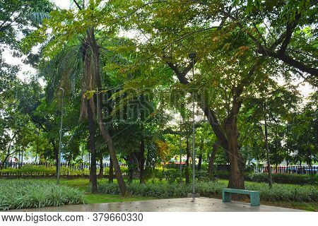 Manila, Ph - Nov 24 - Mehan Garden Outdoor Park On November 24, 2018 In Manila, Philippines.