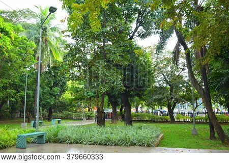 Manila, Ph - Nov 24 - Mehan Garden Outdoor Park On November 24, 2018 In Manila, Philippines.