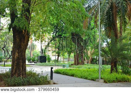 Manila, Ph - Nov 24 - Mehan Garden Outdoor Park On November 24, 2018 In Manila, Philippines.