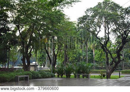 Manila, Ph - Nov 24 - Mehan Garden Outdoor Park On November 24, 2018 In Manila, Philippines.