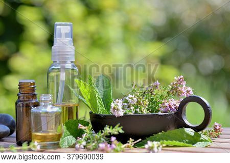 Bottles Of Essential Oil And Flowers Of Aromatic Herb On Atable And On Green Background
