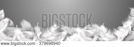 White Feathers. Realistic Curve Frame With Fluffy Bird Plume, Falling Softness Goose, Hen Or Swan Cl