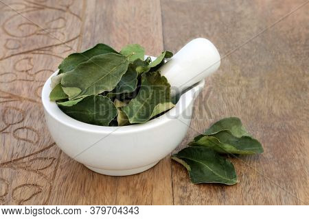 Kaffir lime leaf herb in a mortar with pestle used in herbal medicine used for oral health, boost skin health, detoxify the blood, indigestion, flatulence, dandruff & nausea, on wood. Citrus hystrix.