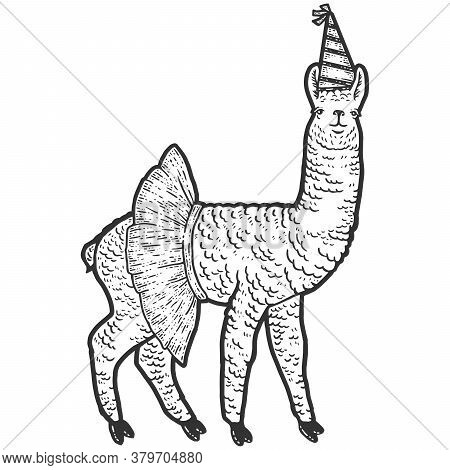 Animal Llama, In A Skirt And A Birthday Cap. Sketch Scratch Board Imitation.