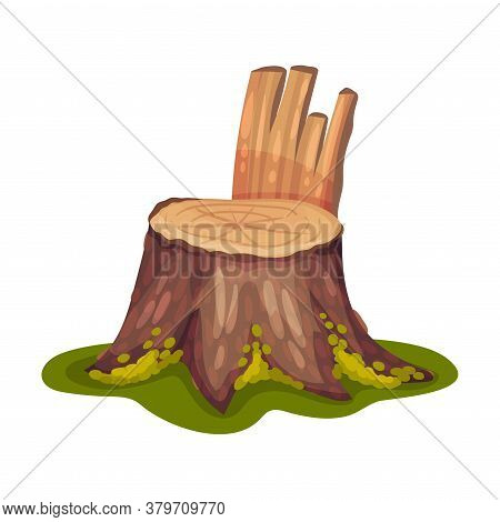 Stump Or Tree Stub Covered With Moss As Forest Element Vector Illustration