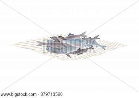 Fish Catch Rested On Fishing Net Isolated On White Background Vector Illustration