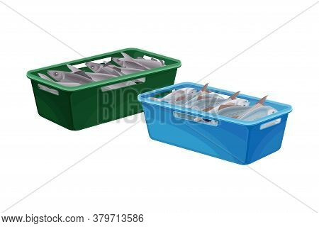 Fish Catch Rested In Plastic Box Isolated On White Background Vector Illustration