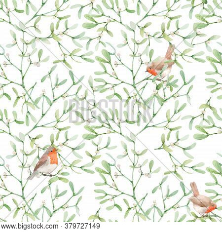 Beautiful Seamless Pattern With Watercolor Mistletoe Plant Leaves With Robin Birds. Stock Illustraqt