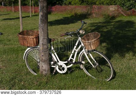 A White Bicycle With Basket Near Tree In Paked In Park.