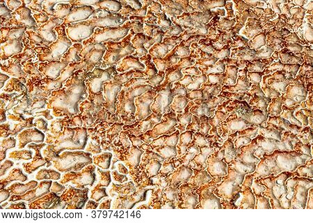The Surface Of The Limestone In The Form Of Intricate Patterns. The Texture Is Made By Flowing Water