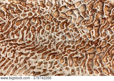 The Surface Of The Limestone In The Form Of Intricate Patterns. The Texture Is Made By Flowing Water
