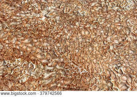 The Surface Of The Limestone In The Form Of Intricate Patterns. The Texture Is Made By Flowing Water
