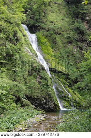 Cascade Of Pure Fresh Water In The Middle Of The Forest In An Uncontaminated Wild Environment