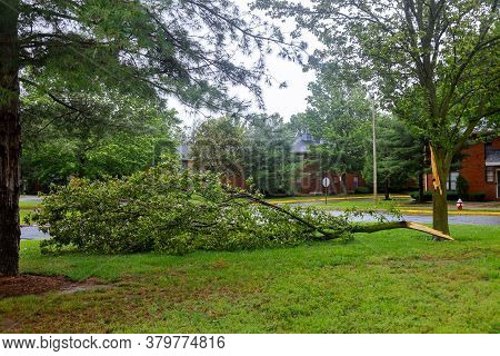 Broken Tree Fall Down Block The Damages After Of Night Hurricane Great Storm