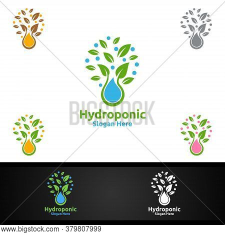 Water Hydroponic Gardener Logo With Green Garden Environment Or Botanical Agriculture Design